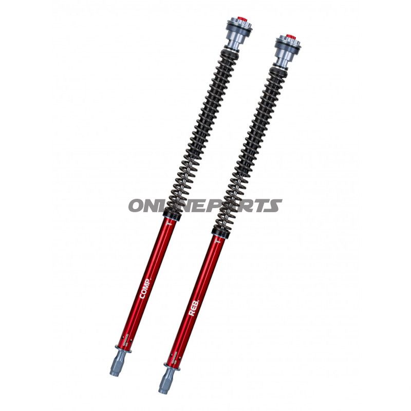 Kassettekit Gabel YSS Road Z1