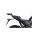 Shad Top Case Carrier