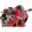 Puig Carbon Racing Skive