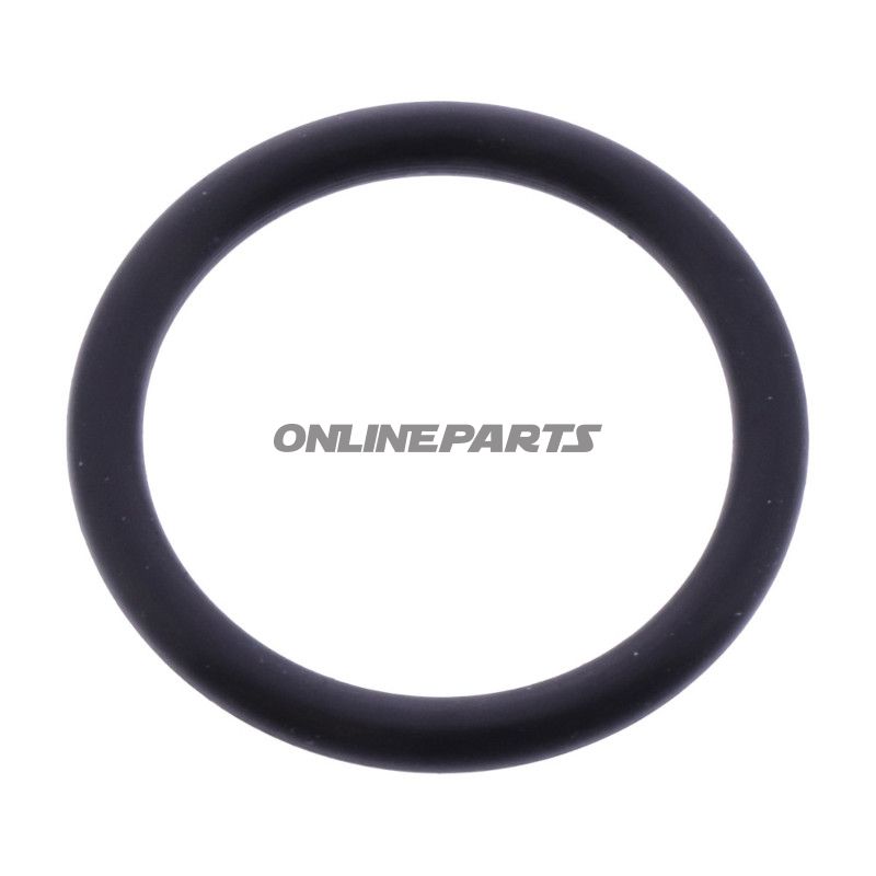 O-RING