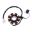 Generator Stator 101 Octane