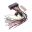 Schaltrelais Daytona 12V/20A