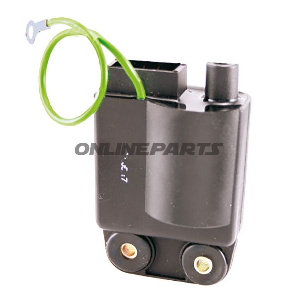 Z COIL ALTN 7002634