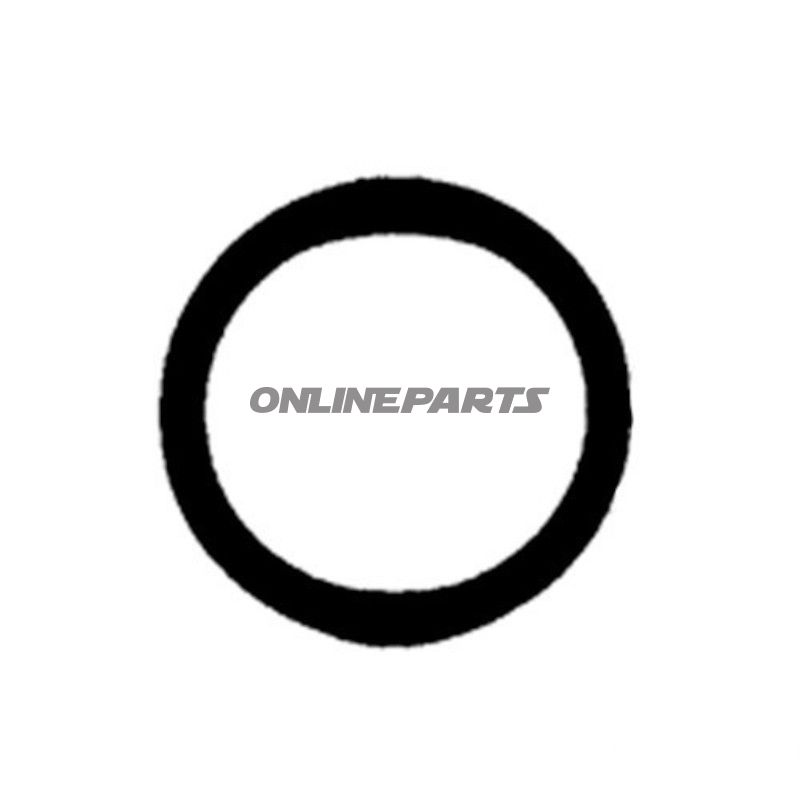 Ø RING 20 STYKKE 15,50-2,62 mm