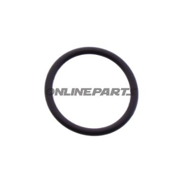 O-ring JMP 2 x 20,5 mm 734.95.63